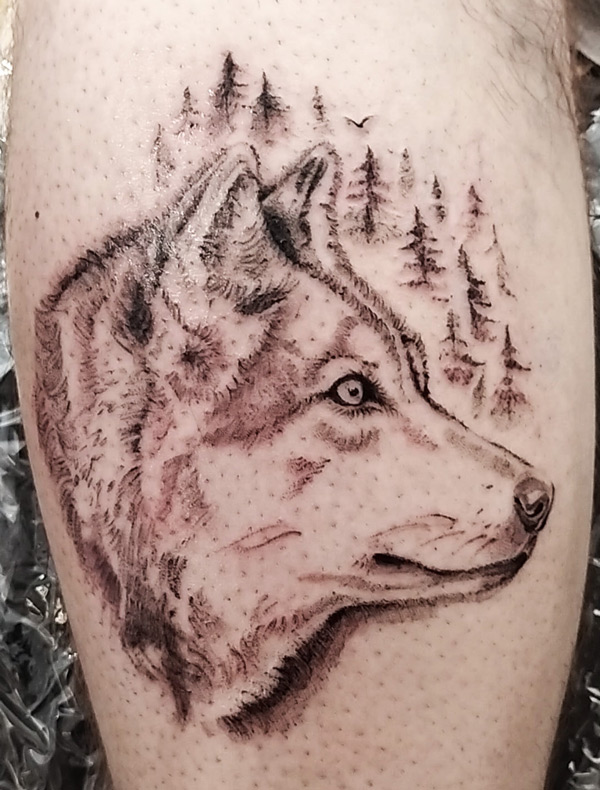 tatouage loup realiste annecy